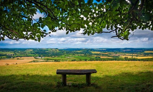 cranborne-chase-view